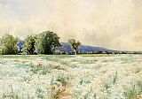 The Daisy Field by Alfred Thompson Bricher